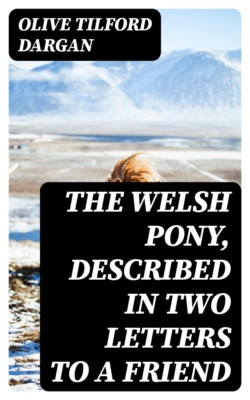 The Welsh Pony, Described in two letters to a friend