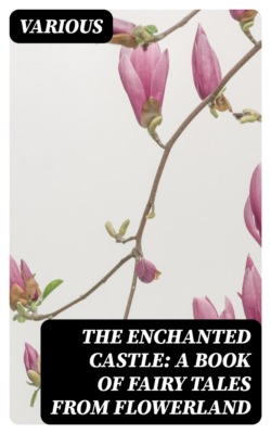 The Enchanted Castle: A Book of Fairy Tales from Flowerland