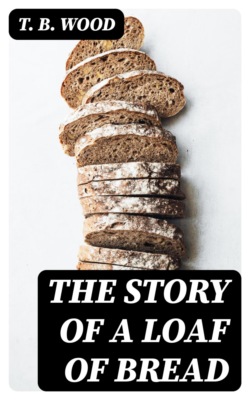 The Story of a Loaf of Bread