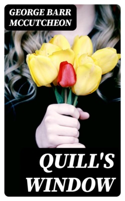 Quill's Window