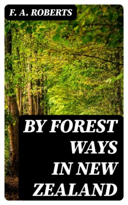 By Forest Ways in New Zealand