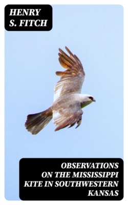 Observations on the Mississippi Kite in Southwestern Kansas