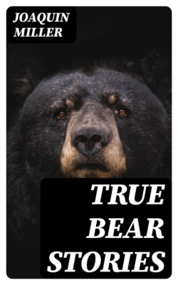 True Bear Stories