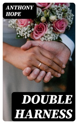 Double Harness