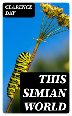 This Simian World