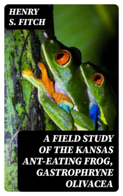A Field Study of the Kansas Ant-Eating Frog, Gastrophryne olivacea