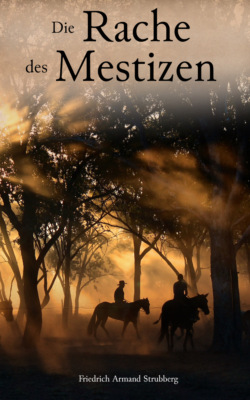 Die Rache des Mestizen