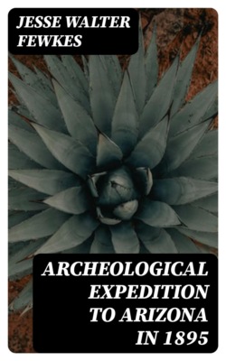 Archeological Expedition to Arizona in 1895