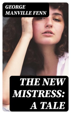 The New Mistress: A Tale