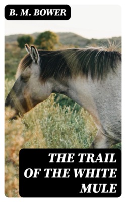 The Trail of the White Mule