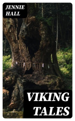 Viking Tales