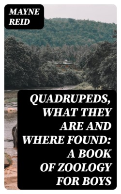 Quadrupeds, What They Are and Where Found: A Book of Zoology for Boys