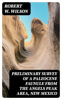 Preliminary Survey of a Paleocene Faunule from the Angels Peak Area, New Mexico