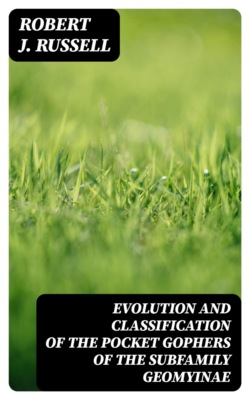 Evolution and Classification of the Pocket Gophers of the Subfamily Geomyinae