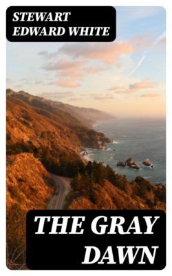 The Gray Dawn