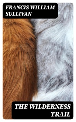 The Wilderness Trail