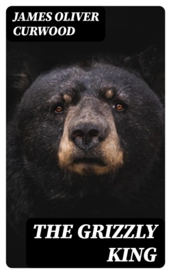 The Grizzly King