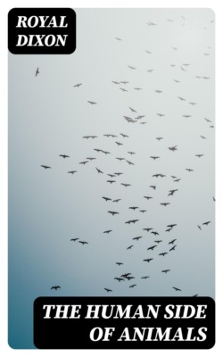 The Human Side of Animals