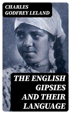 The English Gipsies and Their Language