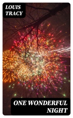 One Wonderful Night