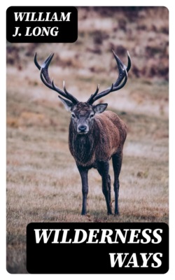 Wilderness Ways