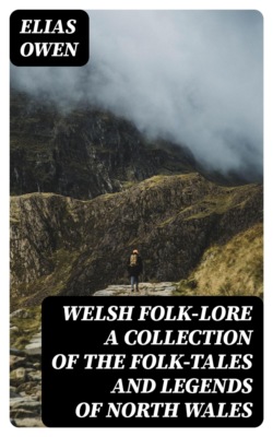 Welsh Folk-Lore a Collection of the Folk-Tales and Legends of North Wales