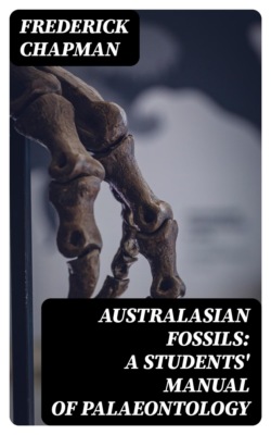 Australasian Fossils: A Students' Manual of Palaeontology