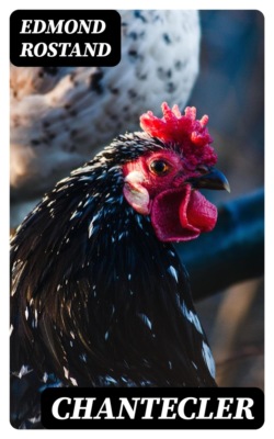 Chantecler