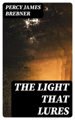The Light That Lures