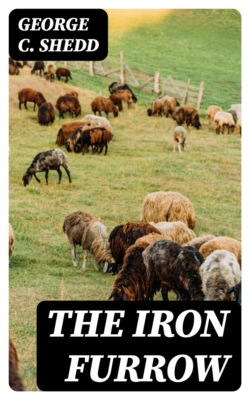 The Iron Furrow