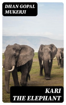 Kari the Elephant