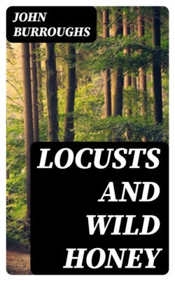 Locusts and Wild Honey