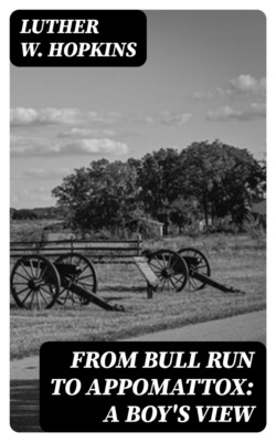 From Bull Run to Appomattox: A Boy's View