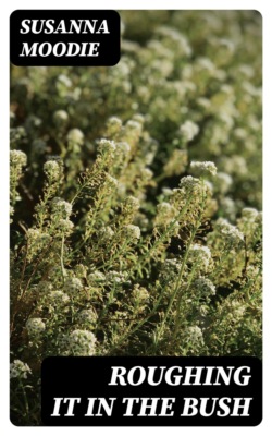 Roughing It in the Bush