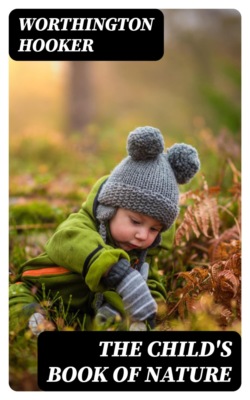 The Child's Book of Nature