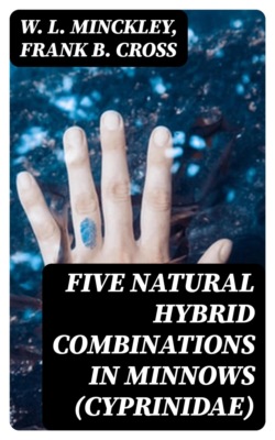 Five Natural Hybrid Combinations in Minnows (Cyprinidae)