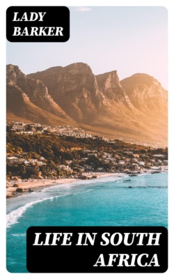 Life in South Africa