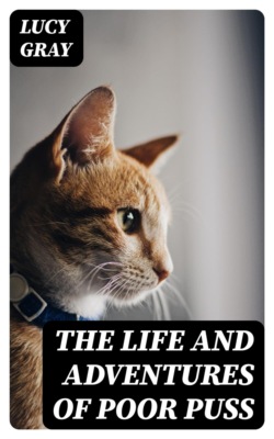 The Life and Adventures of Poor Puss