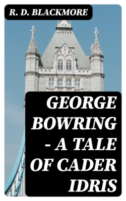 George Bowring - A Tale Of Cader Idris