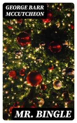 Mr. Bingle