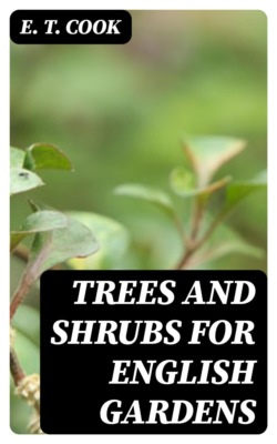 Trees and Shrubs for English Gardens