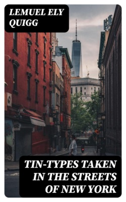 Tin-Types Taken in the Streets of New York