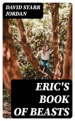 Eric's Book of Beasts