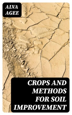 Crops and Methods for Soil Improvement
