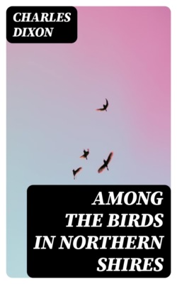 Among the Birds in Northern Shires
