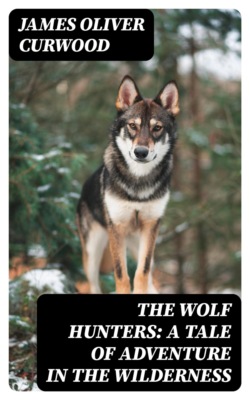 The Wolf Hunters: A Tale of Adventure in the Wilderness