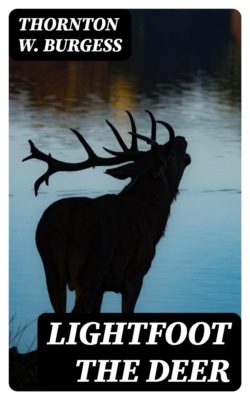 Lightfoot the Deer