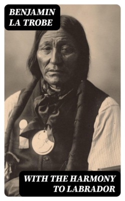 With the Harmony to Labrador