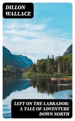 Left on the Labrador: A Tale of Adventure Down North