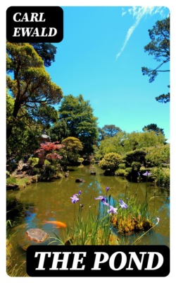 The Pond